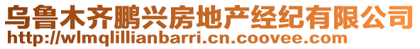 烏魯木齊鵬興房地產(chǎn)經(jīng)紀(jì)有限公司