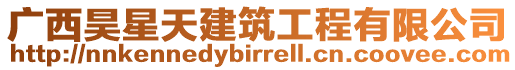 廣西昊星天建筑工程有限公司