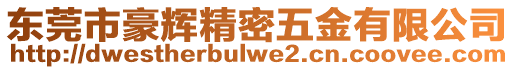 東莞市豪輝精密五金有限公司