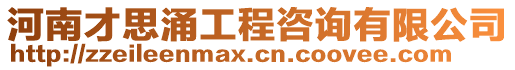 河南才思涌工程咨詢(xún)有限公司