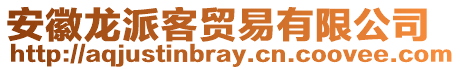 安徽龙派客贸易有限公司