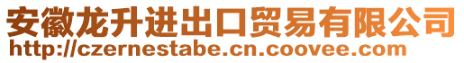 安徽龍升進(jìn)出口貿(mào)易有限公司