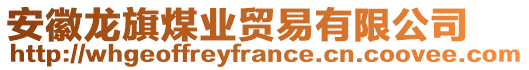 安徽龍旗煤業(yè)貿(mào)易有限公司