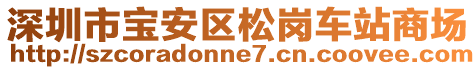 深圳市寶安區(qū)松崗車站商場