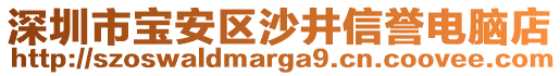 深圳市寶安區(qū)沙井信譽(yù)電腦店