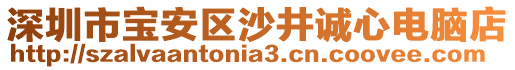 深圳市宝安区沙井诚心电脑店