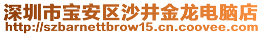 深圳市寶安區(qū)沙井金龍電腦店