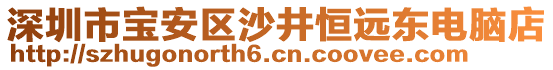 深圳市寶安區(qū)沙井恒遠東電腦店