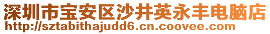 深圳市寶安區(qū)沙井英永豐電腦店