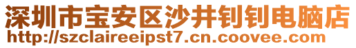 深圳市寶安區(qū)沙井釗釗電腦店