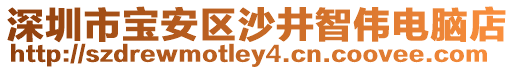 深圳市寶安區(qū)沙井智偉電腦店