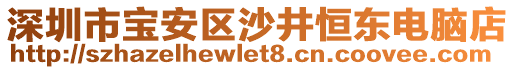 深圳市寶安區(qū)沙井恒東電腦店