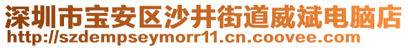 深圳市寶安區(qū)沙井街道威斌電腦店