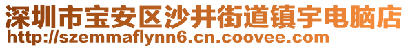 深圳市寶安區(qū)沙井街道鎮(zhèn)宇電腦店