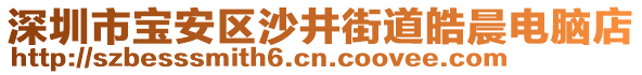 深圳市寶安區(qū)沙井街道皓晨電腦店