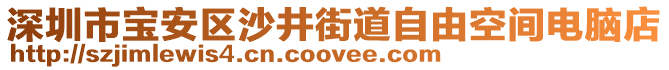 深圳市寶安區(qū)沙井街道自由空間電腦店