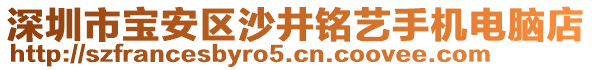 深圳市寶安區(qū)沙井銘藝手機(jī)電腦店