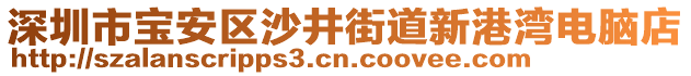 深圳市寶安區(qū)沙井街道新港灣電腦店