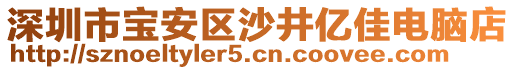 深圳市寶安區(qū)沙井億佳電腦店