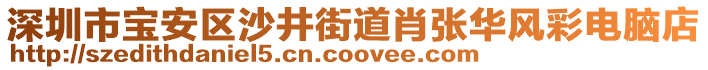 深圳市寶安區(qū)沙井街道肖張華風(fēng)彩電腦店