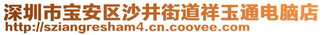 深圳市寶安區(qū)沙井街道祥玉通電腦店