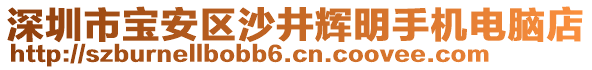 深圳市寶安區(qū)沙井輝明手機(jī)電腦店