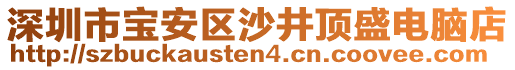 深圳市寶安區(qū)沙井頂盛電腦店