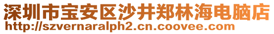 深圳市寶安區(qū)沙井鄭林海電腦店