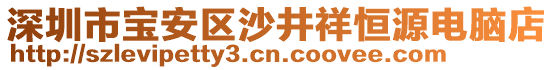 深圳市寶安區(qū)沙井祥恒源電腦店