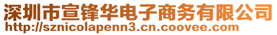 深圳市宣鋒華電子商務(wù)有限公司