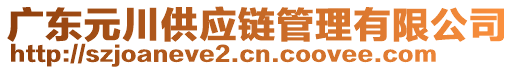 廣東元川供應鏈管理有限公司