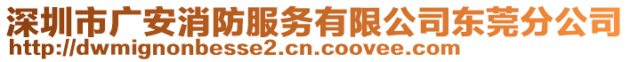 深圳市廣安消防服務(wù)有限公司東莞分公司