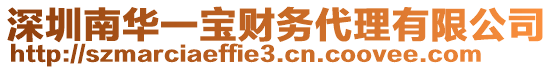 深圳南華一寶財務(wù)代理有限公司