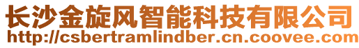 長沙金旋風智能科技有限公司