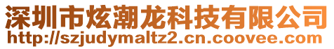 深圳市炫潮龍科技有限公司