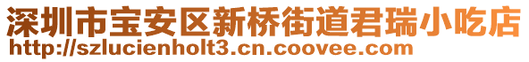 深圳市宝安区新桥街道君瑞小吃店