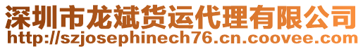 深圳市龍斌貨運(yùn)代理有限公司