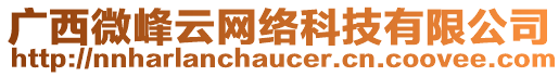 廣西微峰云網(wǎng)絡(luò)科技有限公司