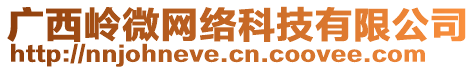 廣西嶺微網(wǎng)絡(luò)科技有限公司