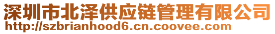 深圳市北澤供應(yīng)鏈管理有限公司