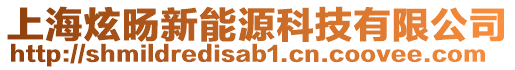 上海炫旸新能源科技有限公司