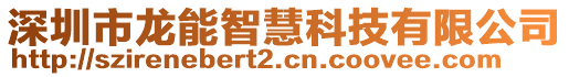 深圳市龍能智慧科技有限公司