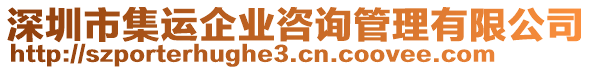 深圳市集運(yùn)企業(yè)咨詢管理有限公司