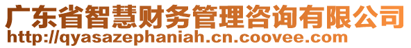 廣東省智慧財(cái)務(wù)管理咨詢有限公司