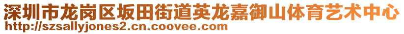 深圳市龙岗区坂田街道英龙嘉御山体育艺术中心