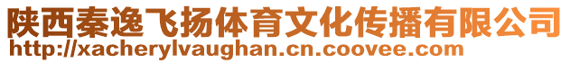 陜西秦逸飛揚體育文化傳播有限公司