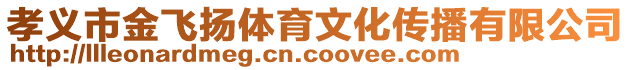 孝義市金飛揚(yáng)體育文化傳播有限公司