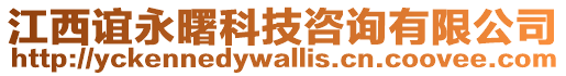 江西誼永曙科技咨詢有限公司