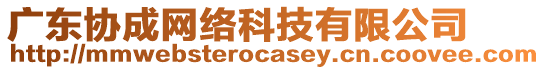 廣東協(xié)成網(wǎng)絡(luò)科技有限公司