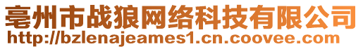 亳州市戰(zhàn)狼網(wǎng)絡(luò)科技有限公司